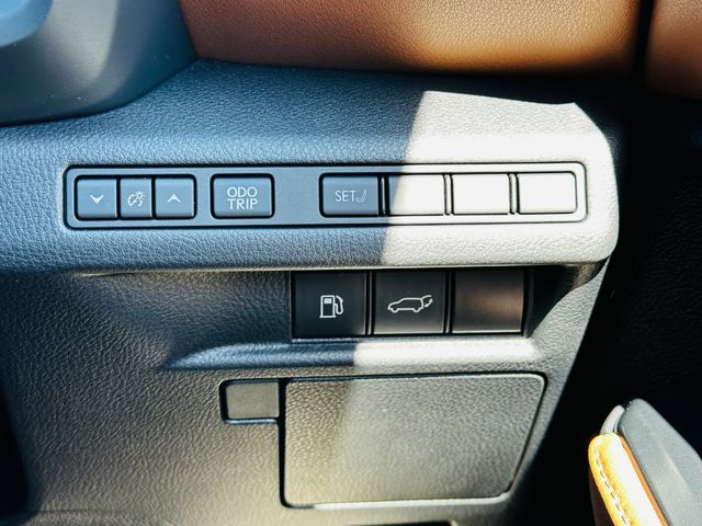 26550033