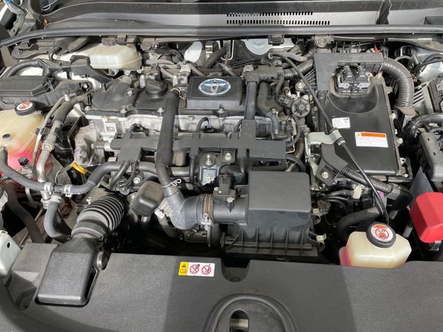 26761309