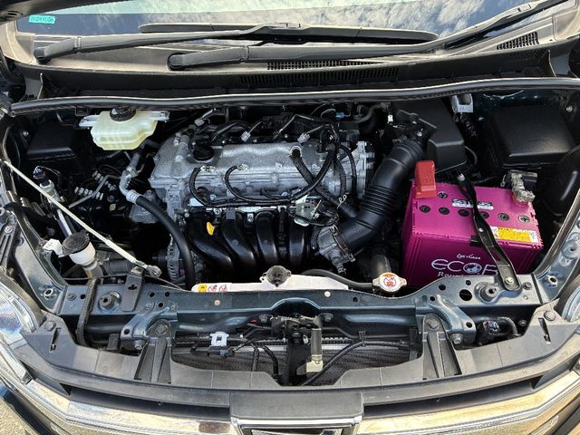 27250202