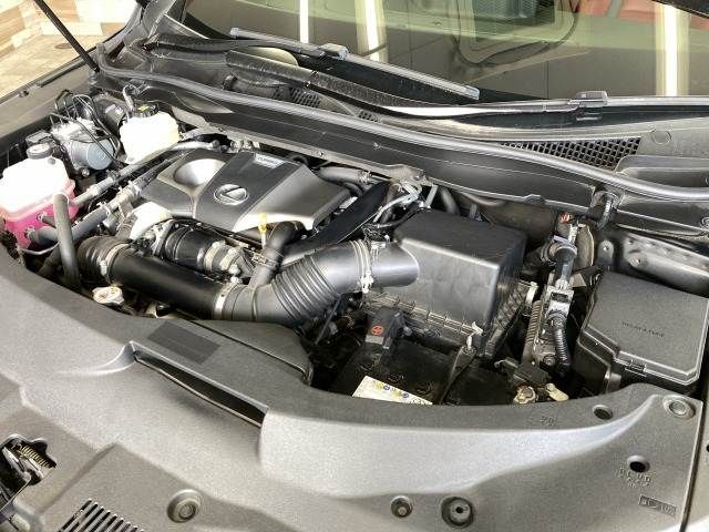 27360087