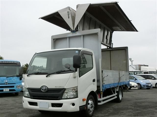 29565541