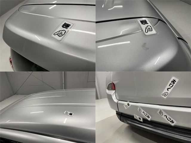 29580003