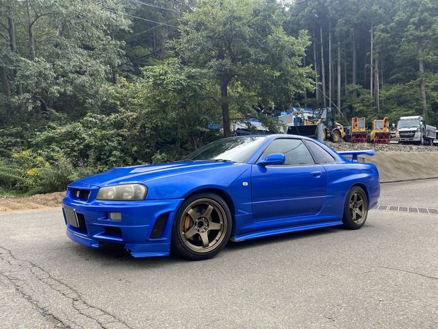 29665750