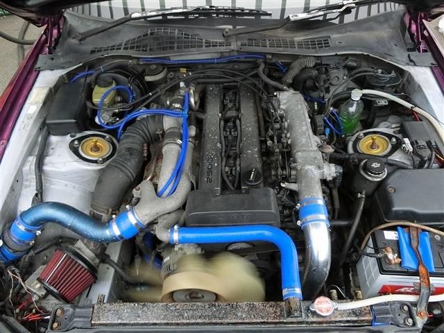 30165931