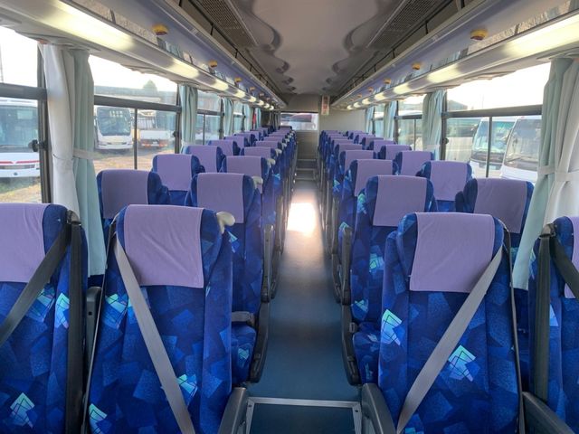30550051