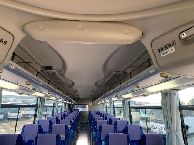30550051