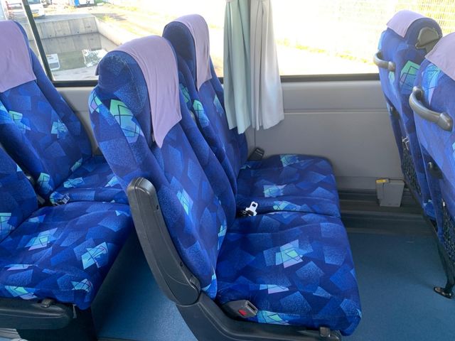 30550051