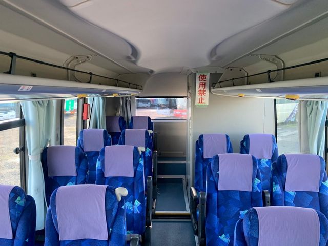 30550051