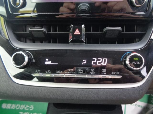 31365414