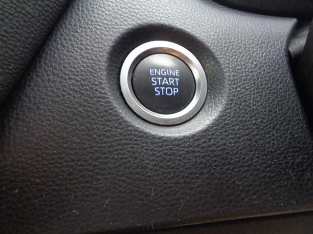 31365414