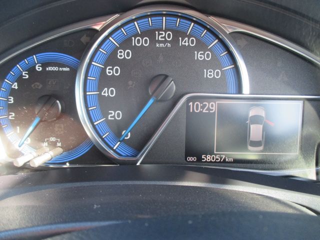 31650005