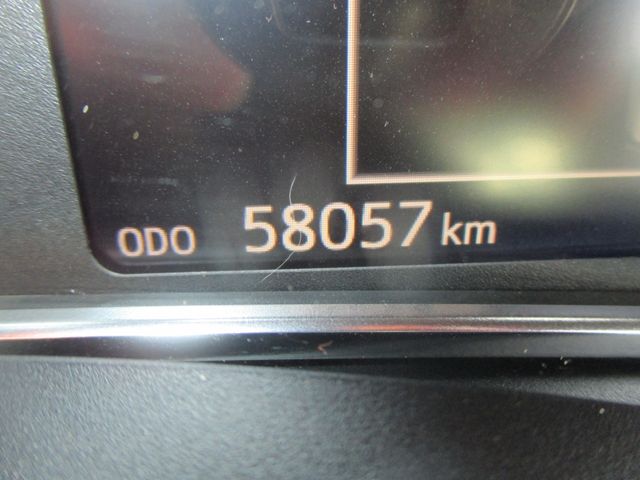 31650005