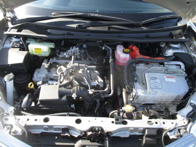 31650005