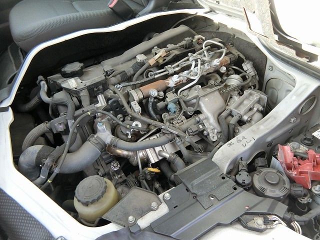 33165424