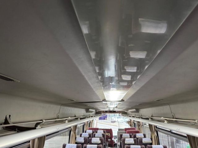 33250026