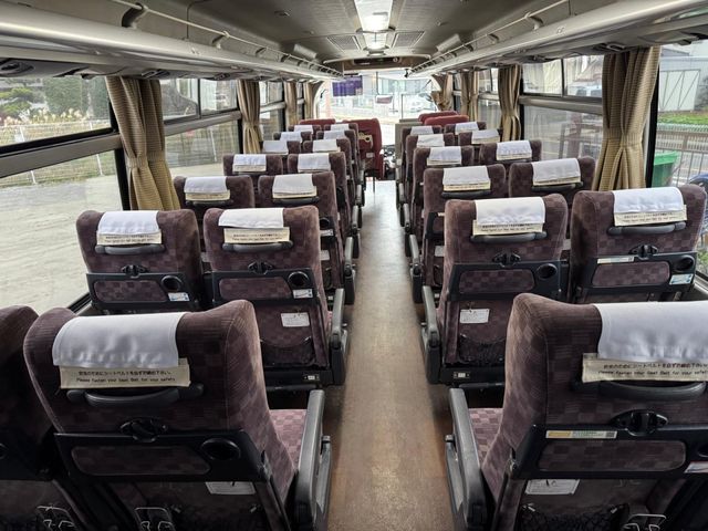 33250026