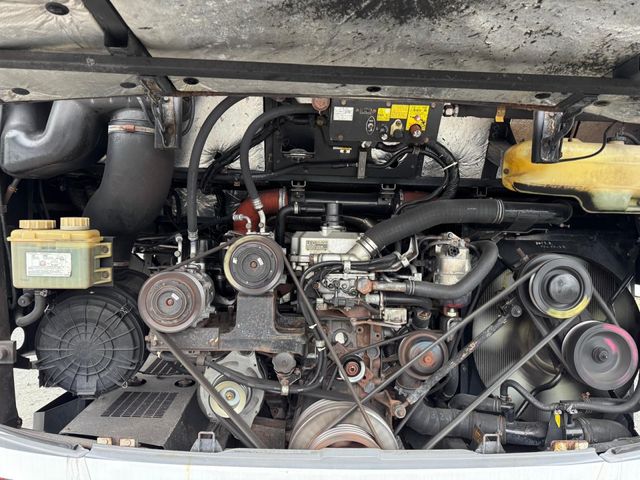 33250026