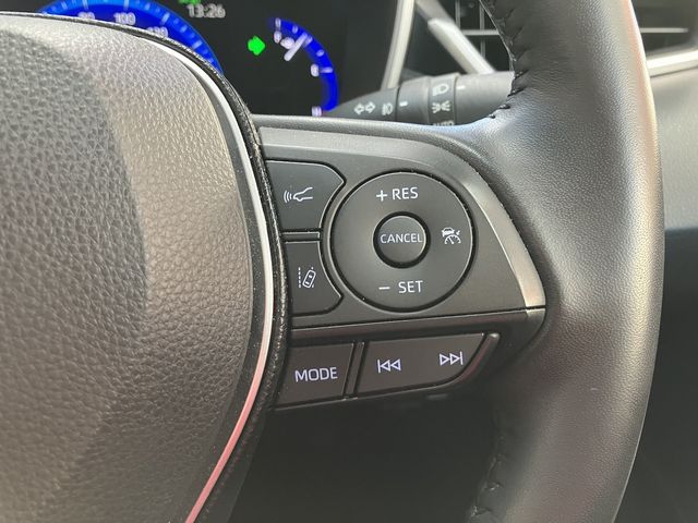 33750083