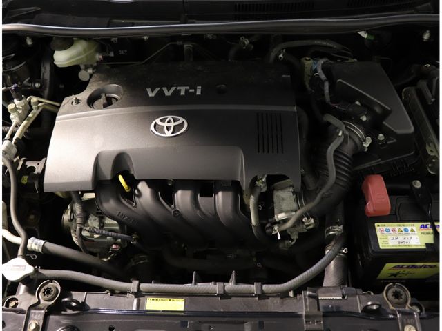 33920049