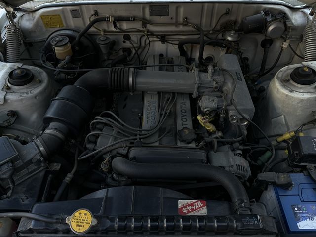 36165553