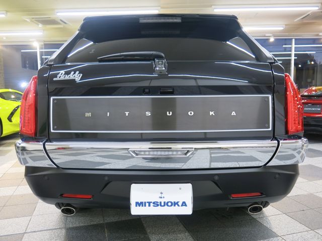 36190035