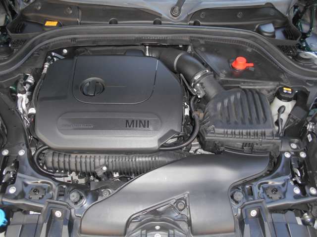 36200058